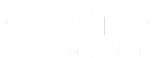Adamo login Logo